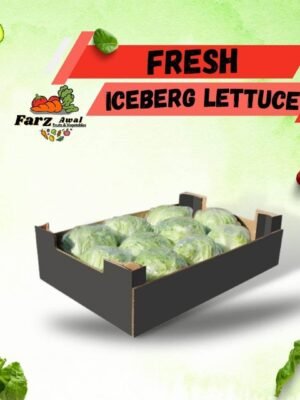 iceberg lettuce box