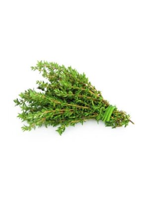 Thyme