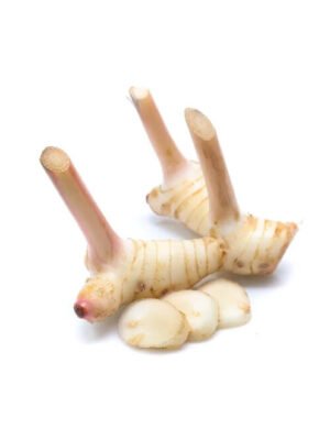 Galangal