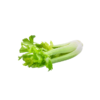 Celery Imported