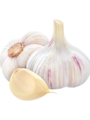 garlic