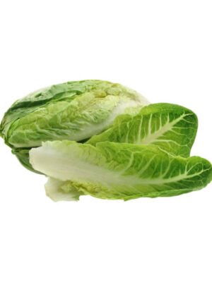 lettuce romaine