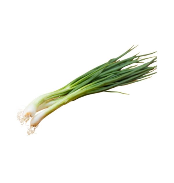 spring onion